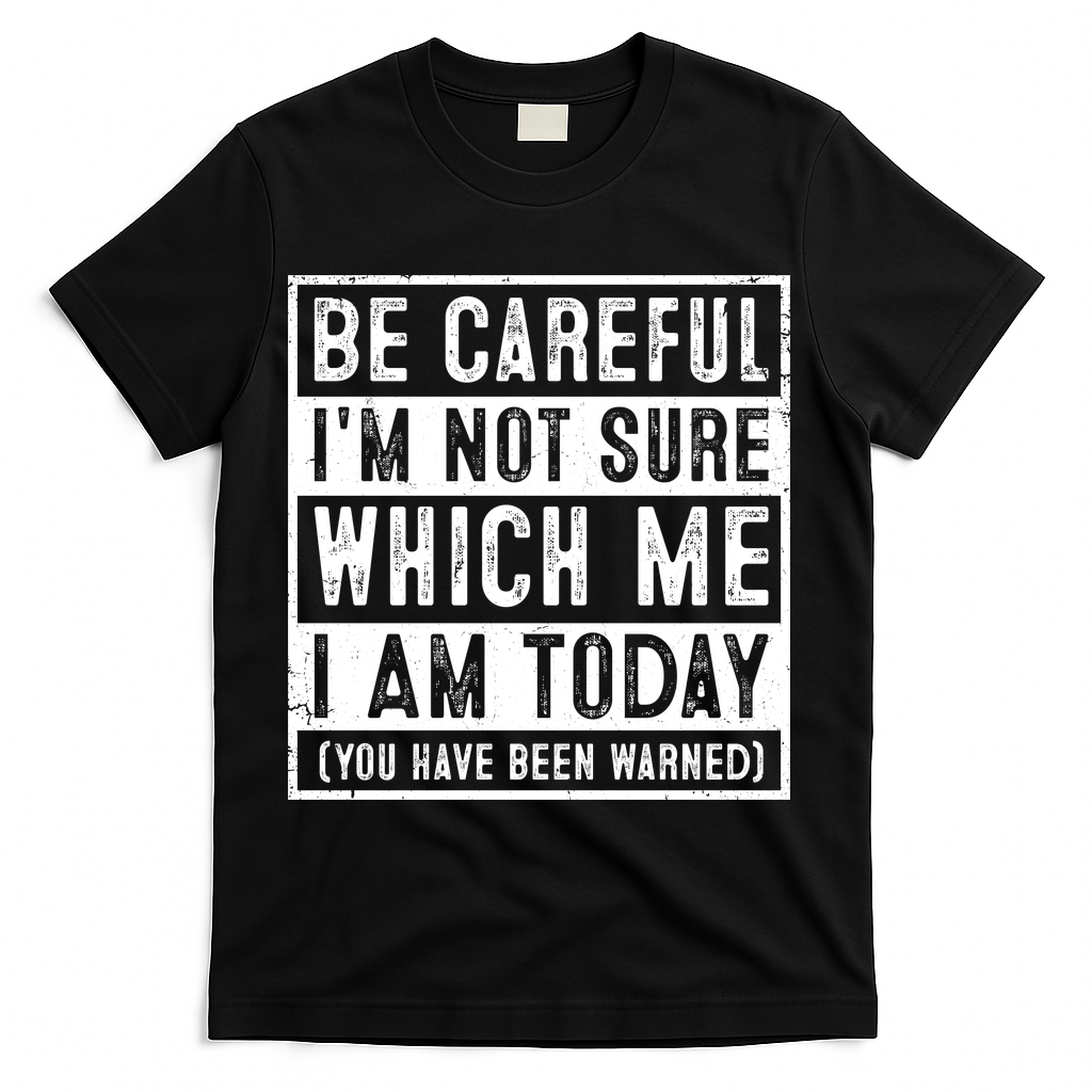 Be Careful I'm Not Sure Which Me I Am Today You Have Been Warned T-Shirt - Black